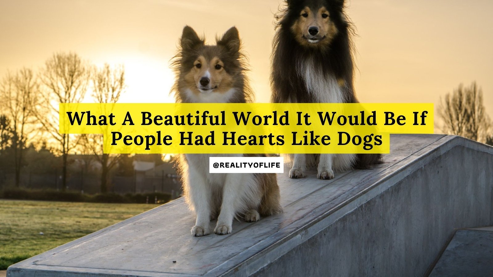 What A Beautiful World It Would Be If People Had Hearts Like Dogs